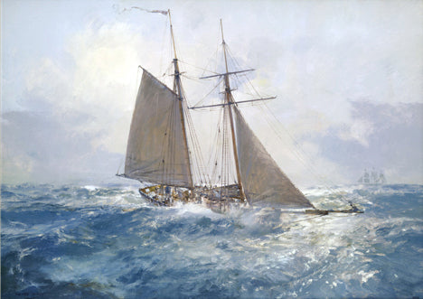 HMS Pickle - Oil on board by Geoff Hunt RSMA.
