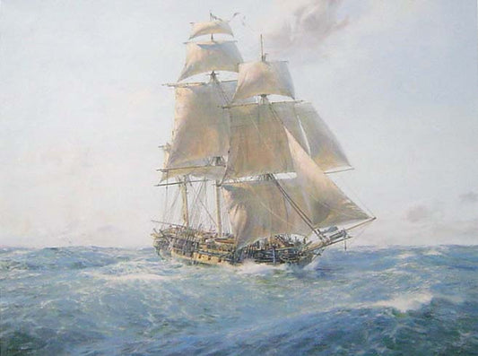 Geoff Hunt PPRSMA - HMS Surprise on The Far Side of the World