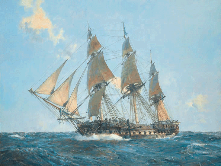 Fighting Sail - the full set