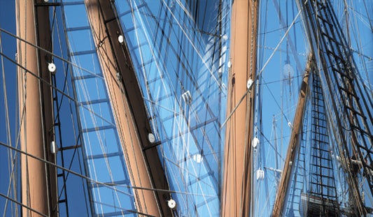 Rigging - Jenny Okun