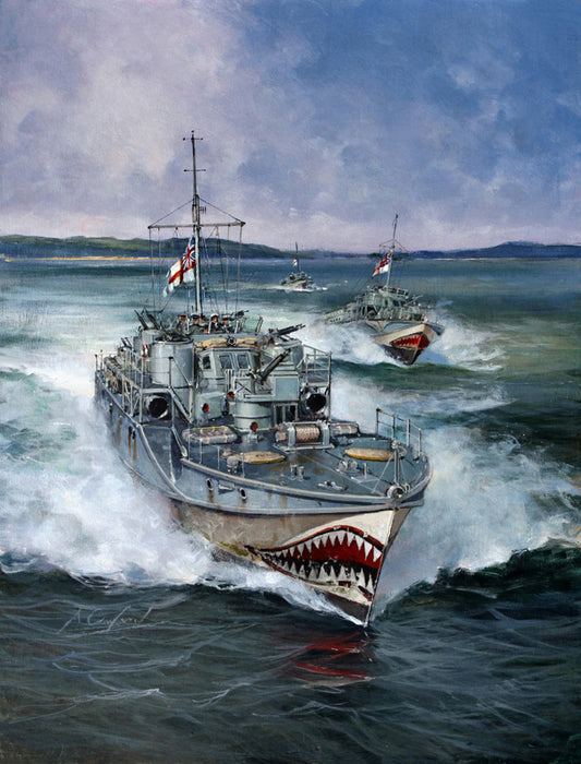 Fairmile D-Class MTBs in the North Sea  - Anthony Cowland