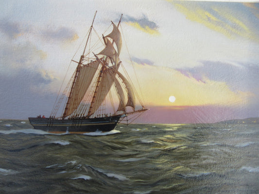 Nearly Home, the St Bernard - James Brereton