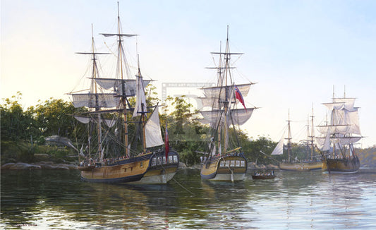 First Fleet - Steven Dews