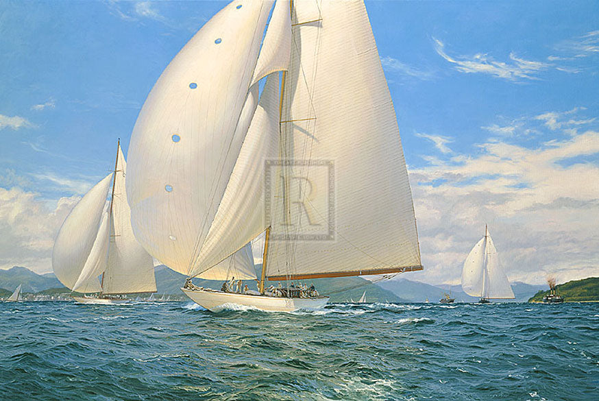 Velsheda shows her paces - Steven Dews