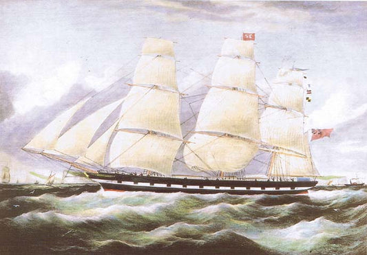 The Betty Darling - W.Webb