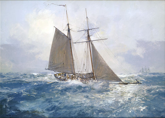 HMS Pickle - 6-gun schooner