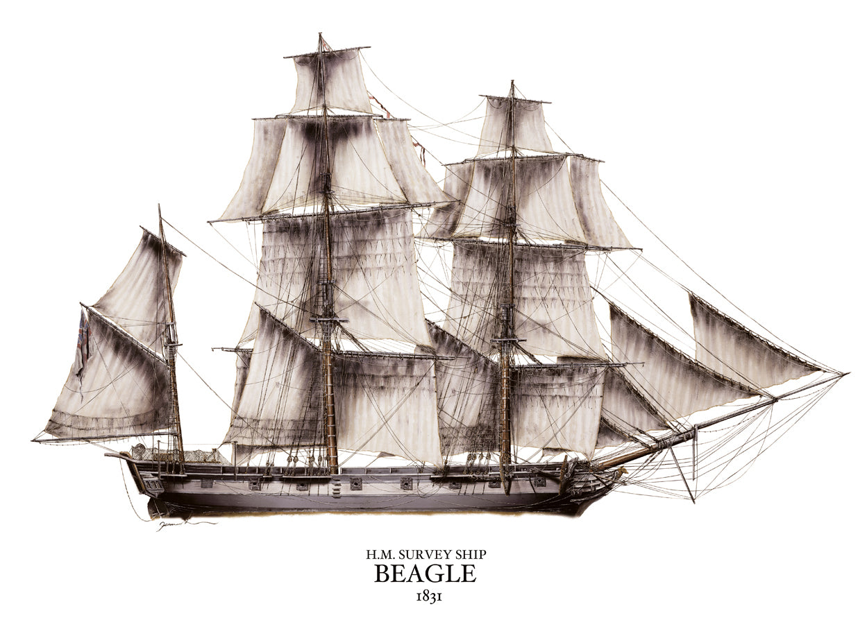 HMS Beagle - Limited edition giclée print by Tony Fernandes – Art Marine