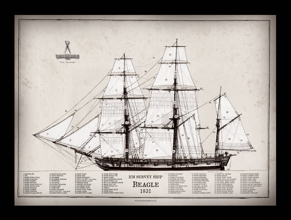 HM Survey Ship Beagle 1831 - Tony Fernandes